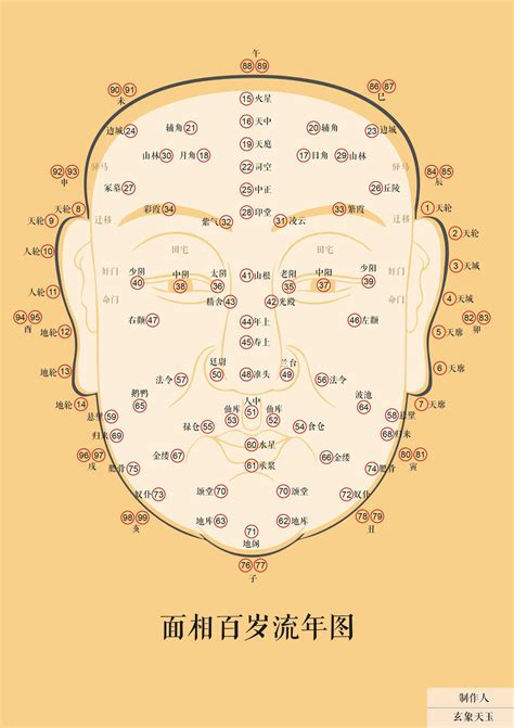 面相年龄图